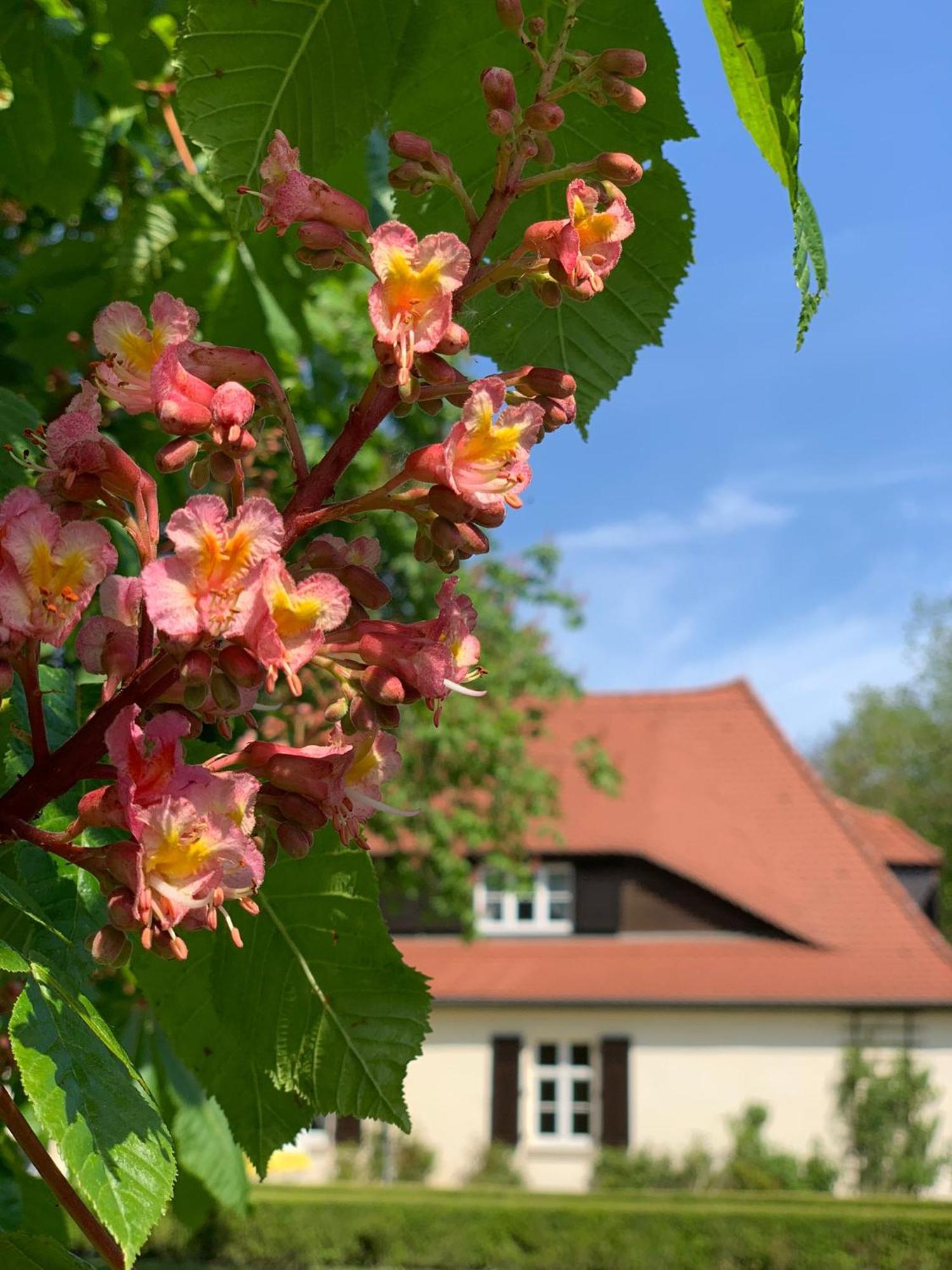 Landhaus Saaleck Naumburg  Exterior foto